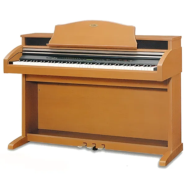 Music City – Tổng Kho Piano, Guitar, Organ | Dịch Vụ Giáo Dục Âm Nhạc