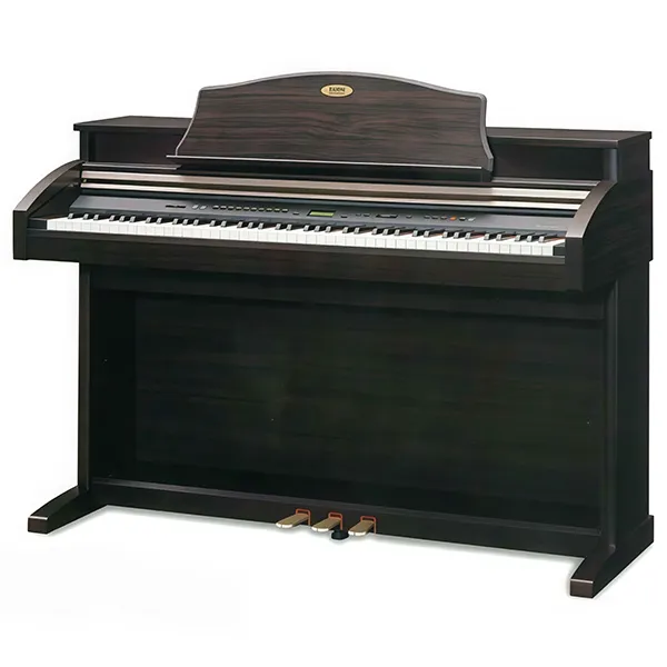 Music City – Tổng Kho Piano, Guitar, Organ | Dịch Vụ Giáo Dục Âm Nhạc