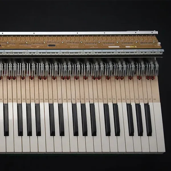 Music City – Tổng Kho Piano, Guitar, Organ | Dịch Vụ Giáo Dục Âm Nhạc