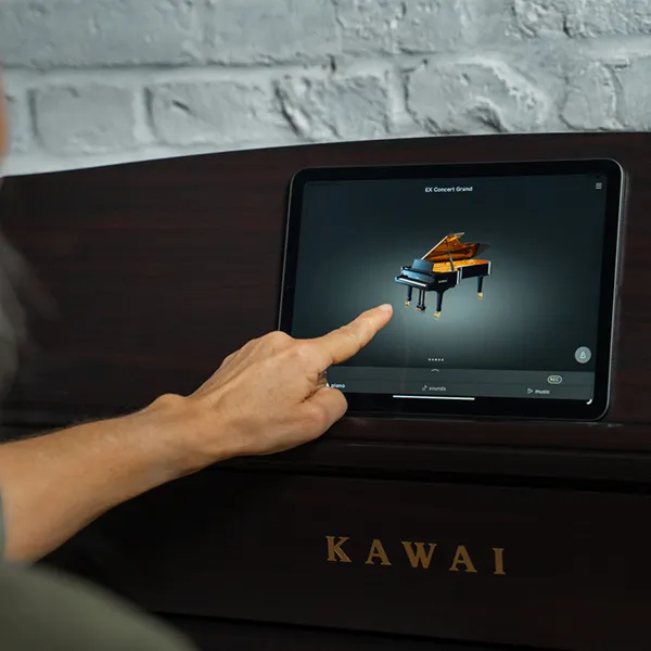 Music City – Tổng Kho Piano, Guitar, Organ | Dịch Vụ Giáo Dục Âm Nhạc