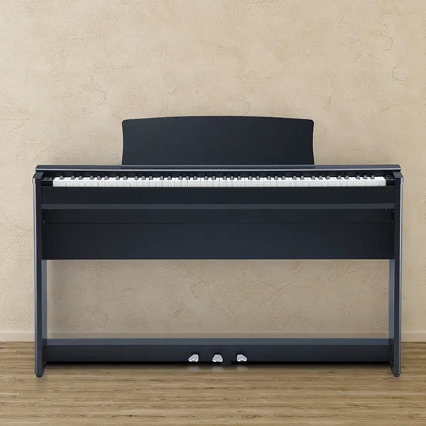 Music City – Tổng Kho Piano, Guitar, Organ | Dịch Vụ Giáo Dục Âm Nhạc