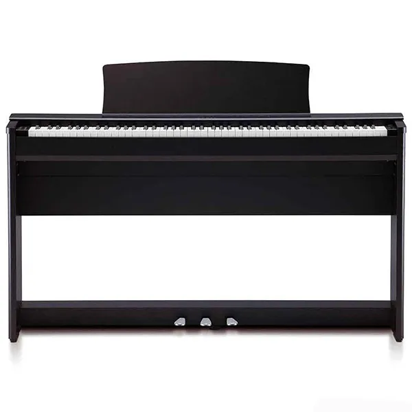 Music City – Tổng Kho Piano, Guitar, Organ | Dịch Vụ Giáo Dục Âm Nhạc