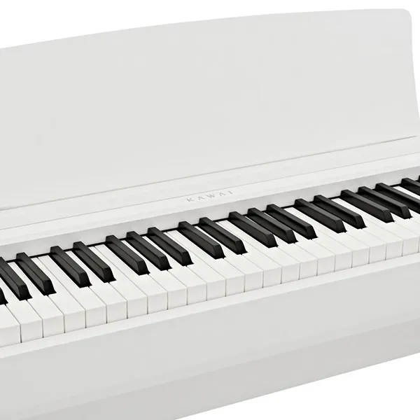 Music City – Tổng Kho Piano, Guitar, Organ | Dịch Vụ Giáo Dục Âm Nhạc