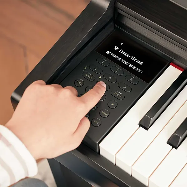 Music City – Tổng Kho Piano, Guitar, Organ | Dịch Vụ Giáo Dục Âm Nhạc