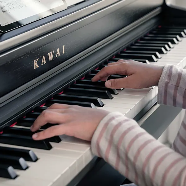 Music City – Tổng Kho Piano, Guitar, Organ | Dịch Vụ Giáo Dục Âm Nhạc
