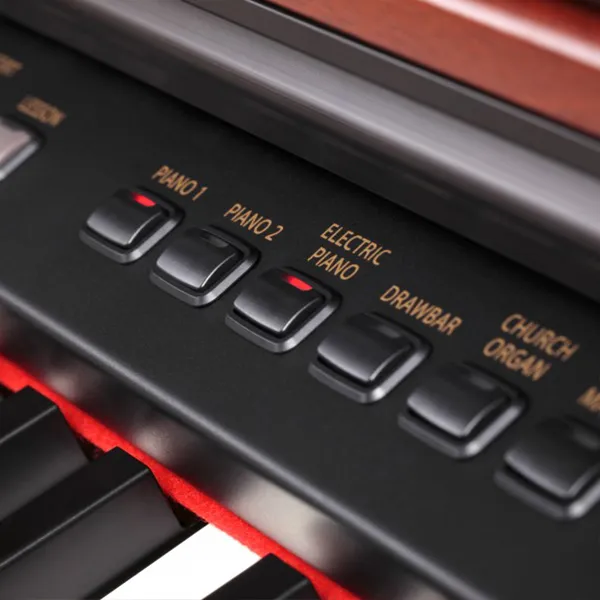 Music City – Tổng Kho Piano, Guitar, Organ | Dịch Vụ Giáo Dục Âm Nhạc