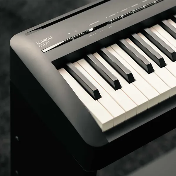 Music City – Tổng Kho Piano, Guitar, Organ | Dịch Vụ Giáo Dục Âm Nhạc