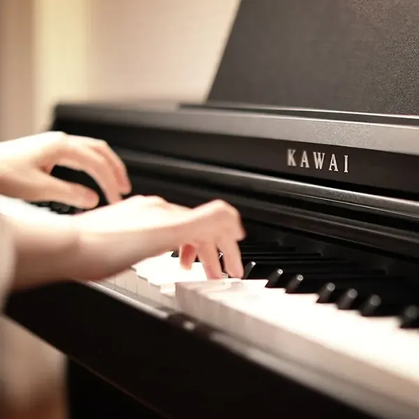 Music City – Tổng Kho Piano, Guitar, Organ | Dịch Vụ Giáo Dục Âm Nhạc