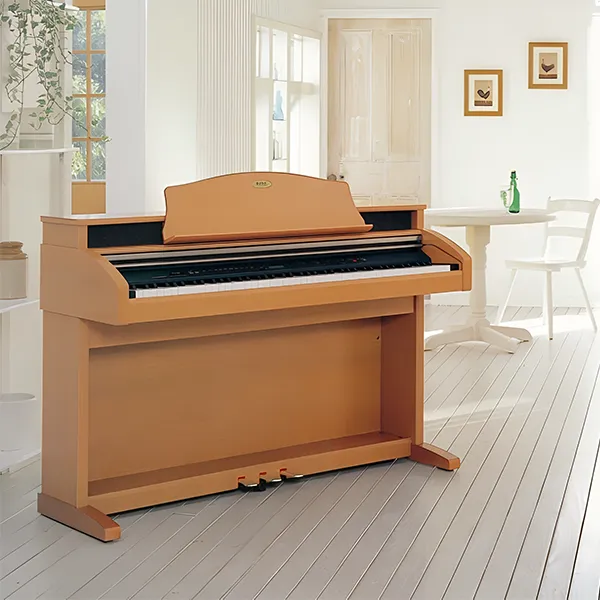 Music City – Tổng Kho Piano, Guitar, Organ | Dịch Vụ Giáo Dục Âm Nhạc