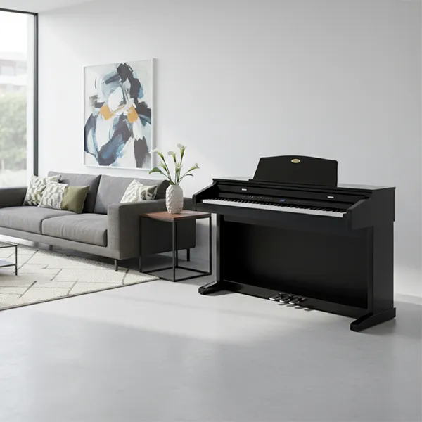 Music City – Tổng Kho Piano, Guitar, Organ | Dịch Vụ Giáo Dục Âm Nhạc