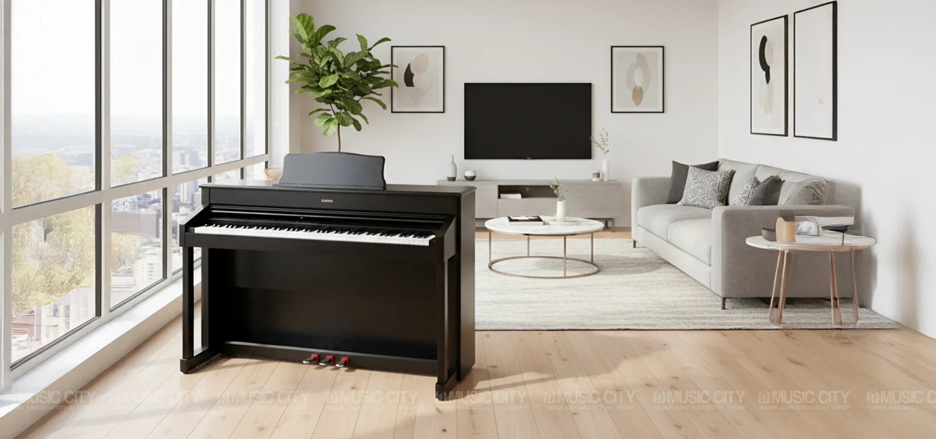 Music City – Tổng Kho Piano, Guitar, Organ | Dịch Vụ Giáo Dục Âm Nhạc