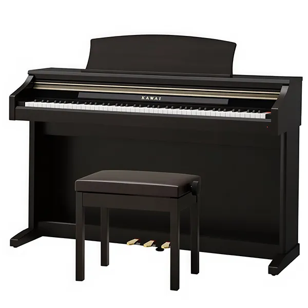 Music City – Tổng Kho Piano, Guitar, Organ | Dịch Vụ Giáo Dục Âm Nhạc