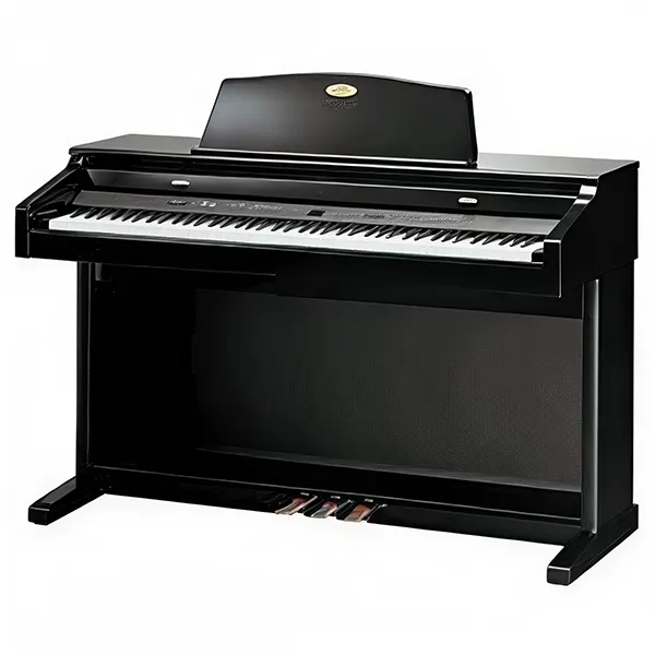 Music City – Tổng Kho Piano, Guitar, Organ | Dịch Vụ Giáo Dục Âm Nhạc
