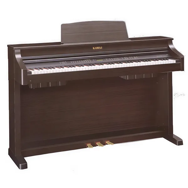 Music City – Tổng Kho Piano, Guitar, Organ | Dịch Vụ Giáo Dục Âm Nhạc