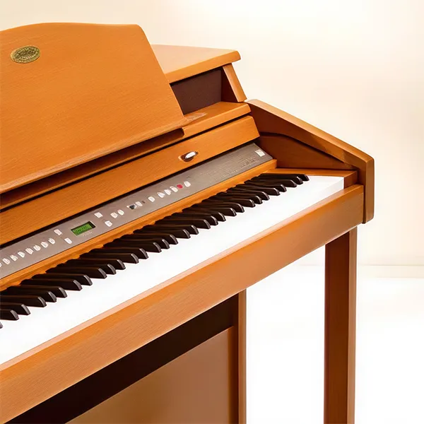 Music City – Tổng Kho Piano, Guitar, Organ | Dịch Vụ Giáo Dục Âm Nhạc