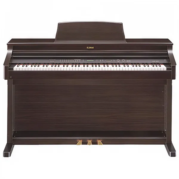 Music City – Tổng Kho Piano, Guitar, Organ | Dịch Vụ Giáo Dục Âm Nhạc