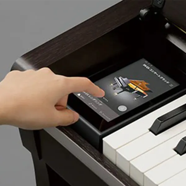 Music City – Tổng Kho Piano, Guitar, Organ | Dịch Vụ Giáo Dục Âm Nhạc
