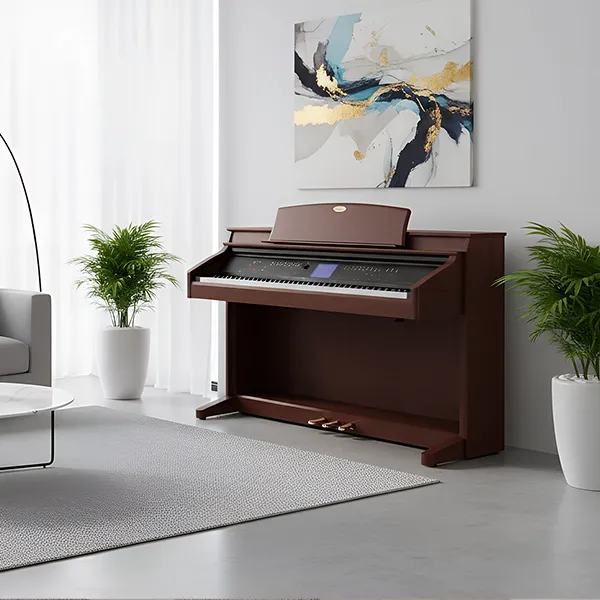 Music City – Tổng Kho Piano, Guitar, Organ | Dịch Vụ Giáo Dục Âm Nhạc