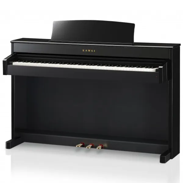 Music City – Tổng Kho Piano, Guitar, Organ | Dịch Vụ Giáo Dục Âm Nhạc