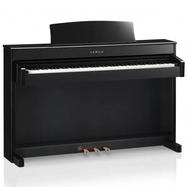 Music City – Tổng Kho Piano, Guitar, Organ | Dịch Vụ Giáo Dục Âm Nhạc