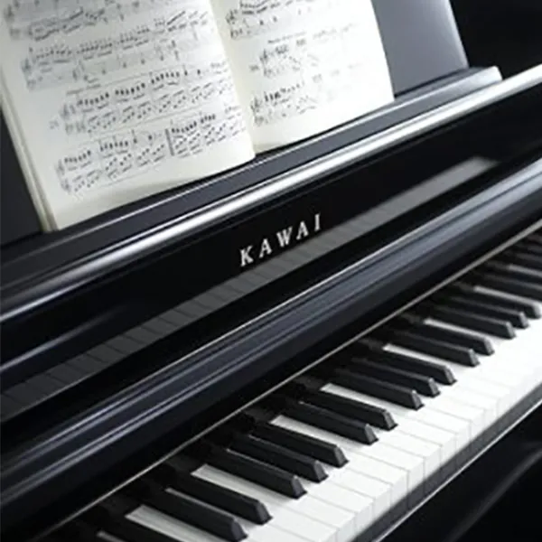 Music City – Tổng Kho Piano, Guitar, Organ | Dịch Vụ Giáo Dục Âm Nhạc