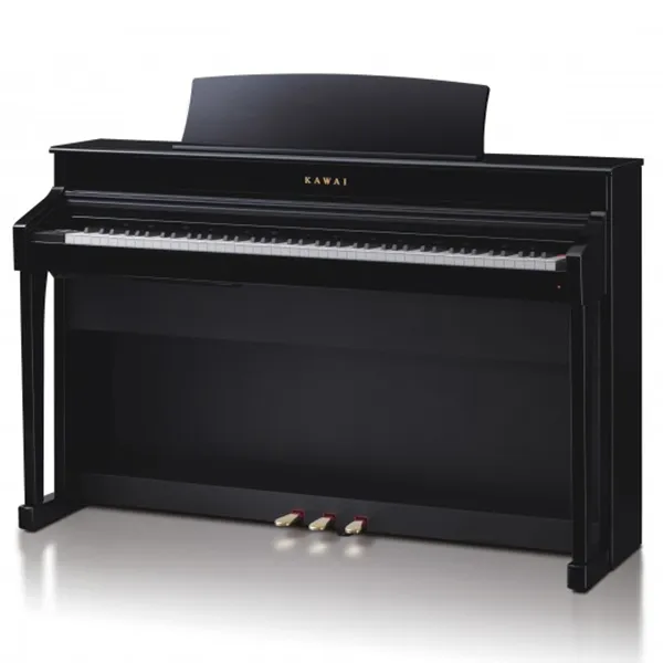 Music City – Tổng Kho Piano, Guitar, Organ | Dịch Vụ Giáo Dục Âm Nhạc