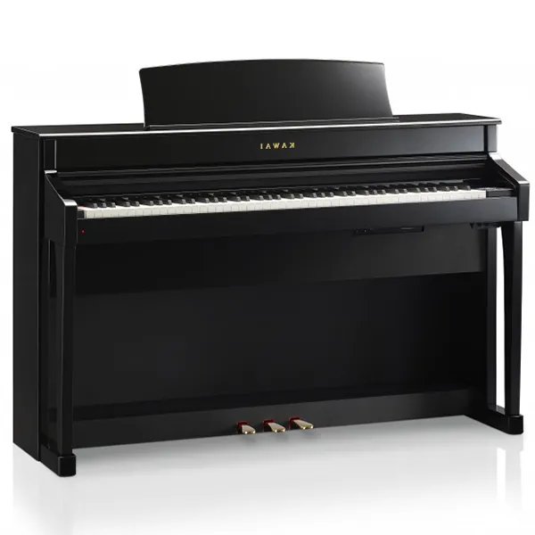 Music City – Tổng Kho Piano, Guitar, Organ | Dịch Vụ Giáo Dục Âm Nhạc
