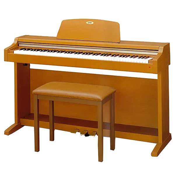 Music City – Tổng Kho Piano, Guitar, Organ | Dịch Vụ Giáo Dục Âm Nhạc