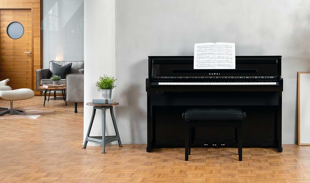 Music City – Tổng Kho Piano, Guitar, Organ | Dịch Vụ Giáo Dục Âm Nhạc