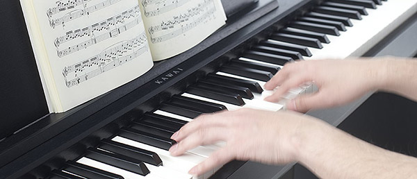 Music City – Tổng Kho Piano, Guitar, Organ | Dịch Vụ Giáo Dục Âm Nhạc
