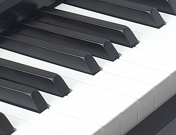 Music City – Tổng Kho Piano, Guitar, Organ | Dịch Vụ Giáo Dục Âm Nhạc