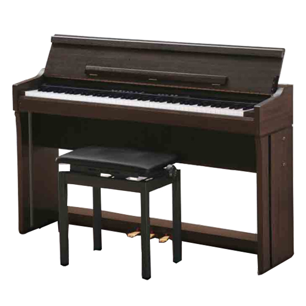 Music City – Tổng Kho Piano, Guitar, Organ | Dịch Vụ Giáo Dục Âm Nhạc