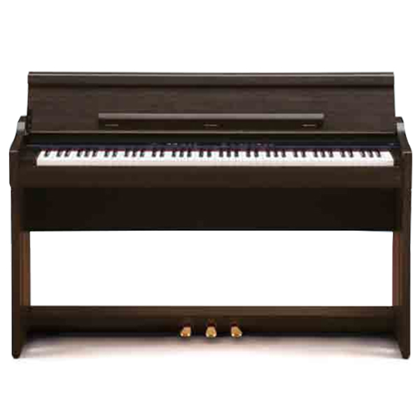 Music City – Tổng Kho Piano, Guitar, Organ | Dịch Vụ Giáo Dục Âm Nhạc