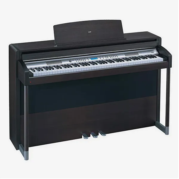 Music City – Tổng Kho Piano, Guitar, Organ | Dịch Vụ Giáo Dục Âm Nhạc