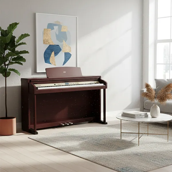 Music City – Tổng Kho Piano, Guitar, Organ | Dịch Vụ Giáo Dục Âm Nhạc