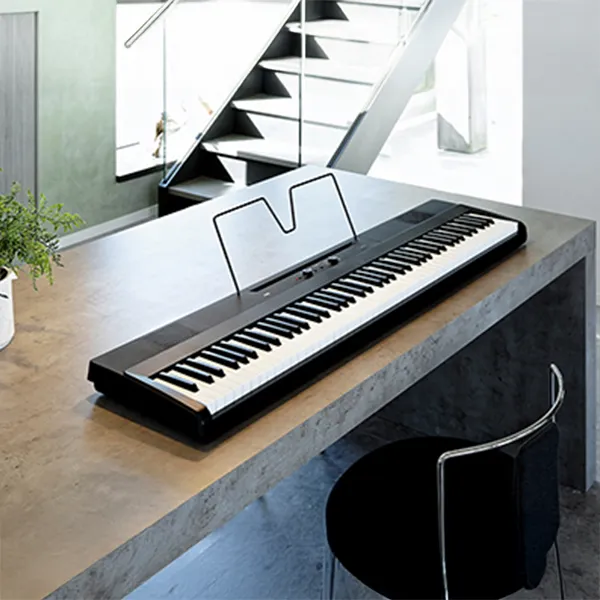 Music City – Tổng Kho Piano, Guitar, Organ | Dịch Vụ Giáo Dục Âm Nhạc