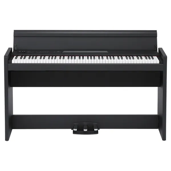 Music City – Tổng Kho Piano, Guitar, Organ | Dịch Vụ Giáo Dục Âm Nhạc