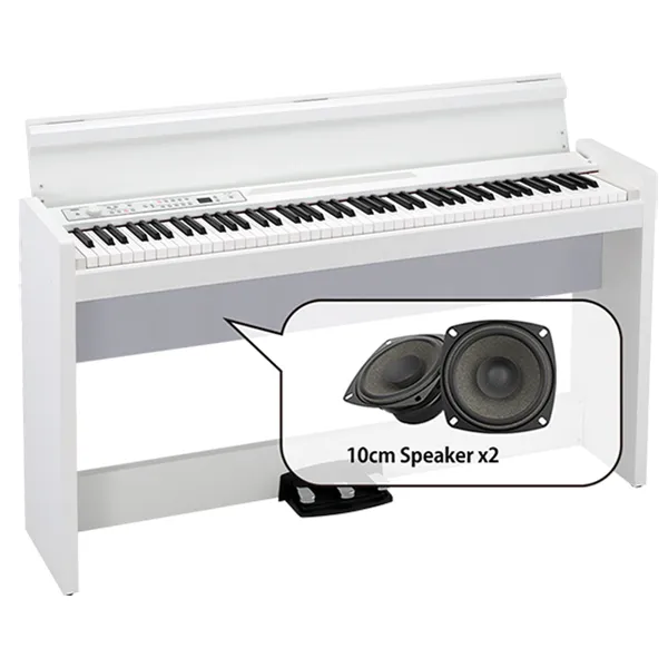 Music City – Tổng Kho Piano, Guitar, Organ | Dịch Vụ Giáo Dục Âm Nhạc