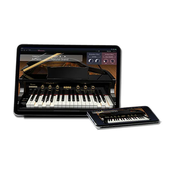 Music City – Tổng Kho Piano, Guitar, Organ | Dịch Vụ Giáo Dục Âm Nhạc