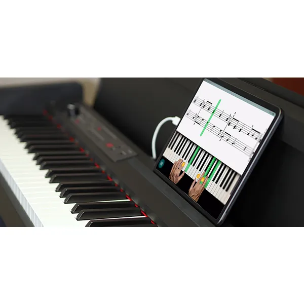 Music City – Tổng Kho Piano, Guitar, Organ | Dịch Vụ Giáo Dục Âm Nhạc