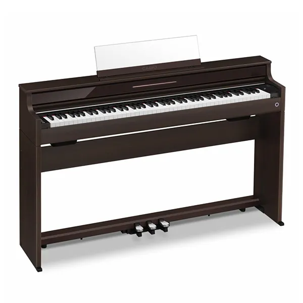 Music City – Tổng Kho Piano, Guitar, Organ | Dịch Vụ Giáo Dục Âm Nhạc