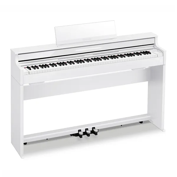 Music City – Tổng Kho Piano, Guitar, Organ | Dịch Vụ Giáo Dục Âm Nhạc