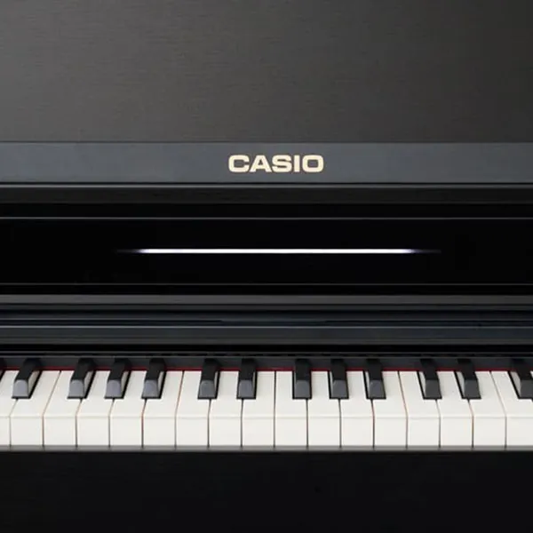 Music City – Tổng Kho Piano, Guitar, Organ | Dịch Vụ Giáo Dục Âm Nhạc