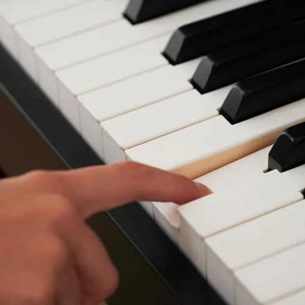 Music City – Tổng Kho Piano, Guitar, Organ | Dịch Vụ Giáo Dục Âm Nhạc