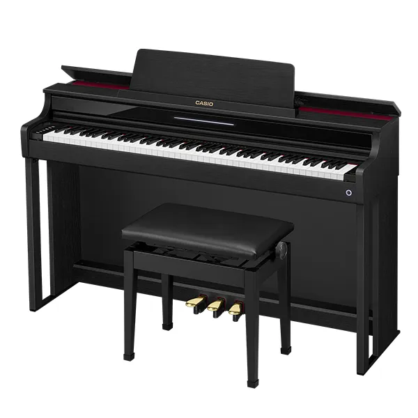 Music City – Tổng Kho Piano, Guitar, Organ | Dịch Vụ Giáo Dục Âm Nhạc