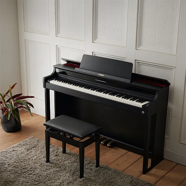 Music City – Tổng Kho Piano, Guitar, Organ | Dịch Vụ Giáo Dục Âm Nhạc