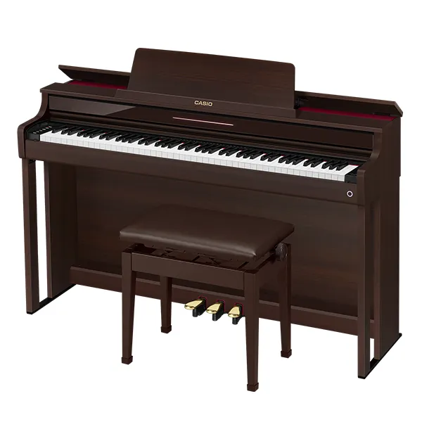 Music City – Tổng Kho Piano, Guitar, Organ | Dịch Vụ Giáo Dục Âm Nhạc