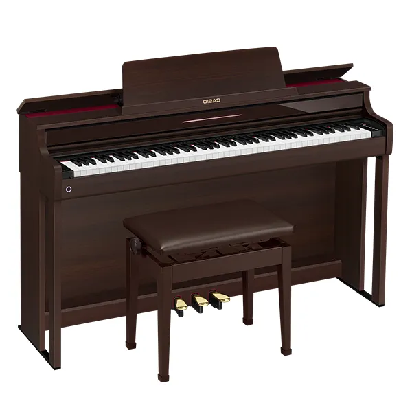 Music City – Tổng Kho Piano, Guitar, Organ | Dịch Vụ Giáo Dục Âm Nhạc