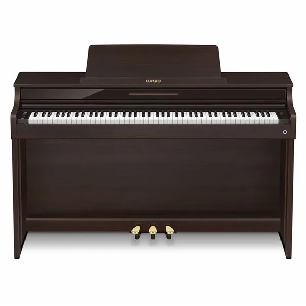 Music City – Tổng Kho Piano, Guitar, Organ | Dịch Vụ Giáo Dục Âm Nhạc