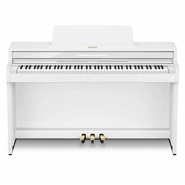 Music City – Tổng Kho Piano, Guitar, Organ | Dịch Vụ Giáo Dục Âm Nhạc